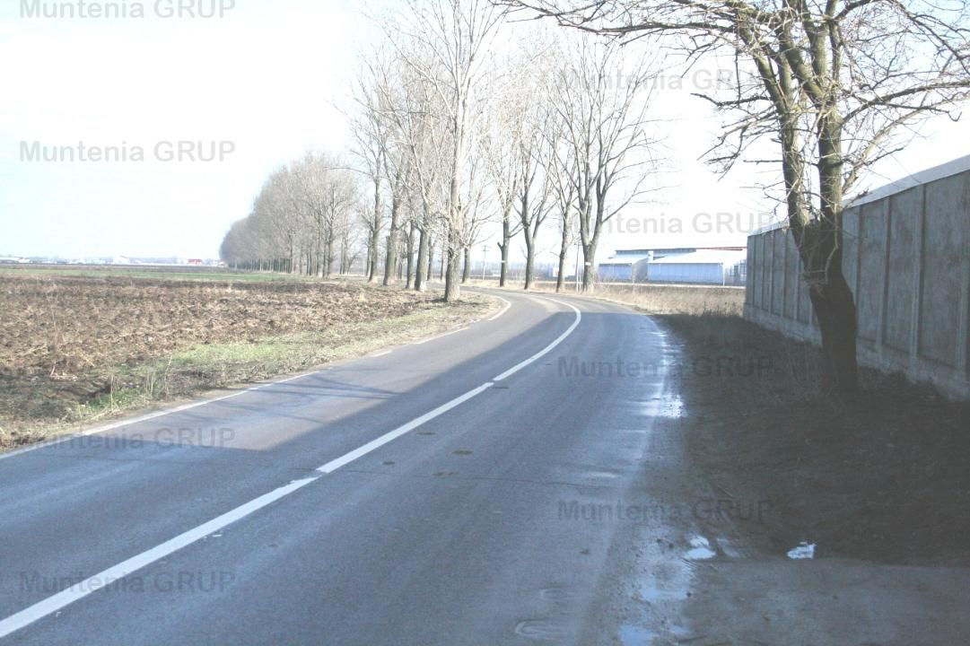 AFUMATI - Tarla 9, teren agricol in suprafata de 35.000 mp. - Poză 3