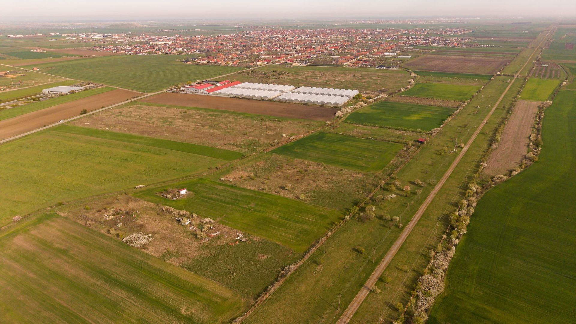 Teren intravilan 6150 mp – Sânleani, jud. Arad - Poză 2