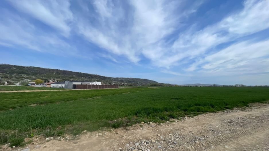 Teren Intravilan Podgoria 1800 mp - Poză 2