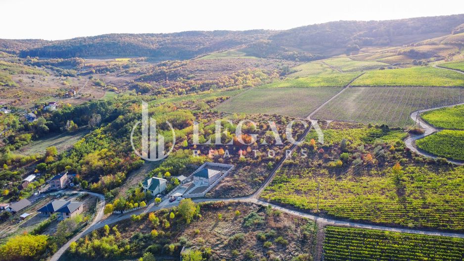 Oportunitate Teren intravilan, Husi / Drumul Dumitru Donea 29, LA OCHI - Poză 4