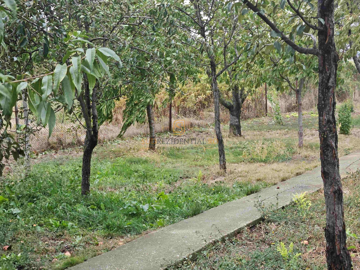 Casa indviduala cu 4 camere si teren generos - Jilava, Str. Garii - Poză 8