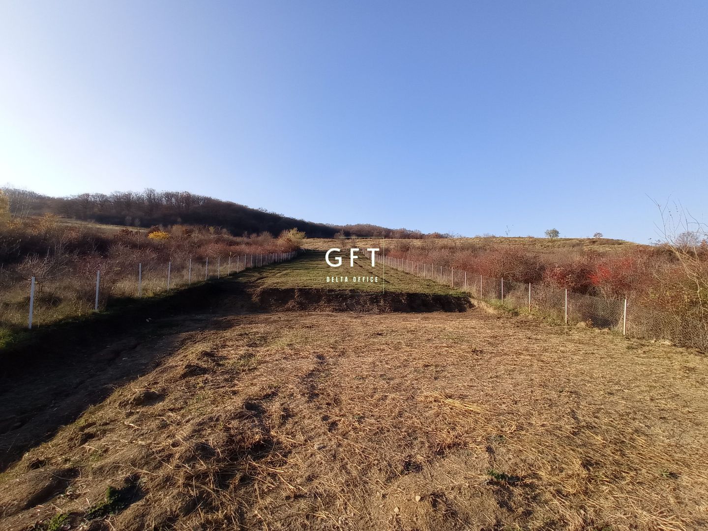 Teren Viisoara 27 ari - Poză 2