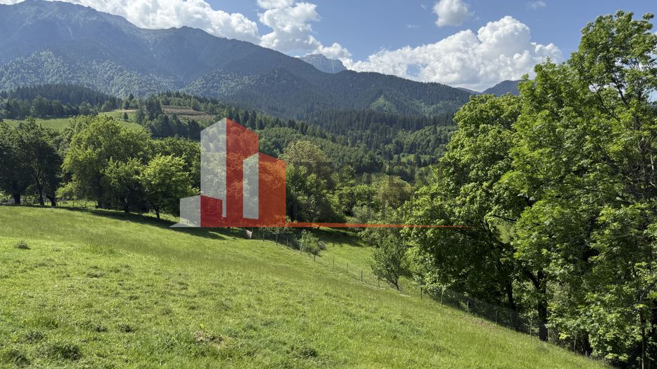 Teren cu priveliște spectaculoasă în Bran – Sohodol - Poză 11