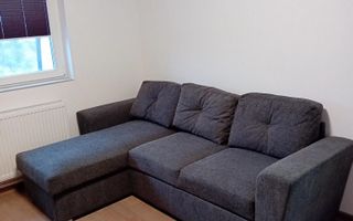 2 CAM DECOMANDAT BUCIUM LIDL LOC PARCARE PRIMA INCHIRIERE - Poză 11