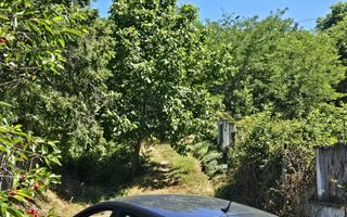 Vanzare teren intravilan, Zigoneni - Curtea de Arges - Poză 5