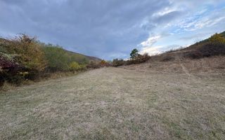 Teren de vânzare 5.000 mp | Poplaca | lângă pădure - Poză 8