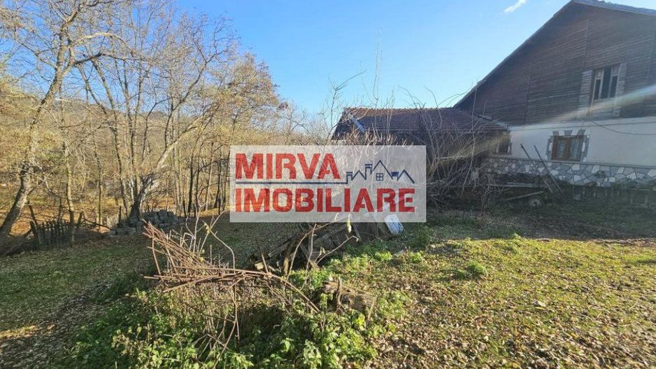 Vanzare casa plus anexa, teren 3843 mp, in Sat Pietriceaua - Poză 8