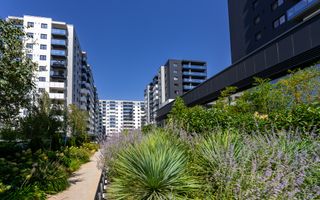 COM0% CORTINA NORTH STUDIODUBLU LUX 114559 EUR- AVIATIEI PIPERA - Poză 7