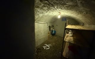 Casă P+M | Mitocul Dragomirnei | 898 mp teren | Foișor & Anexe - Poză 19