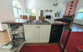 Închiriere — Vilă superbă cu 4 camere | Zona Parcul Subarini - Poză 10