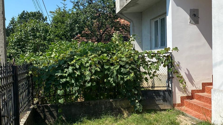 Casa in inima localitatii Certeze - Poză 3