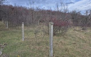 Teren de vanzare | Orlat | Extravilan - Poză 6