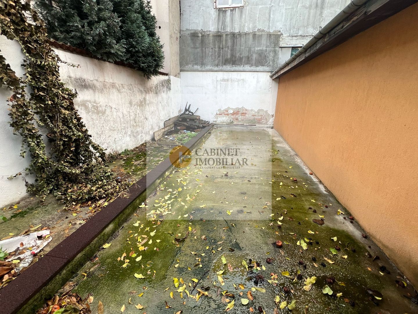 Vilă Modernă în Domenii, Aproape de Biserica Casin - Poză 16