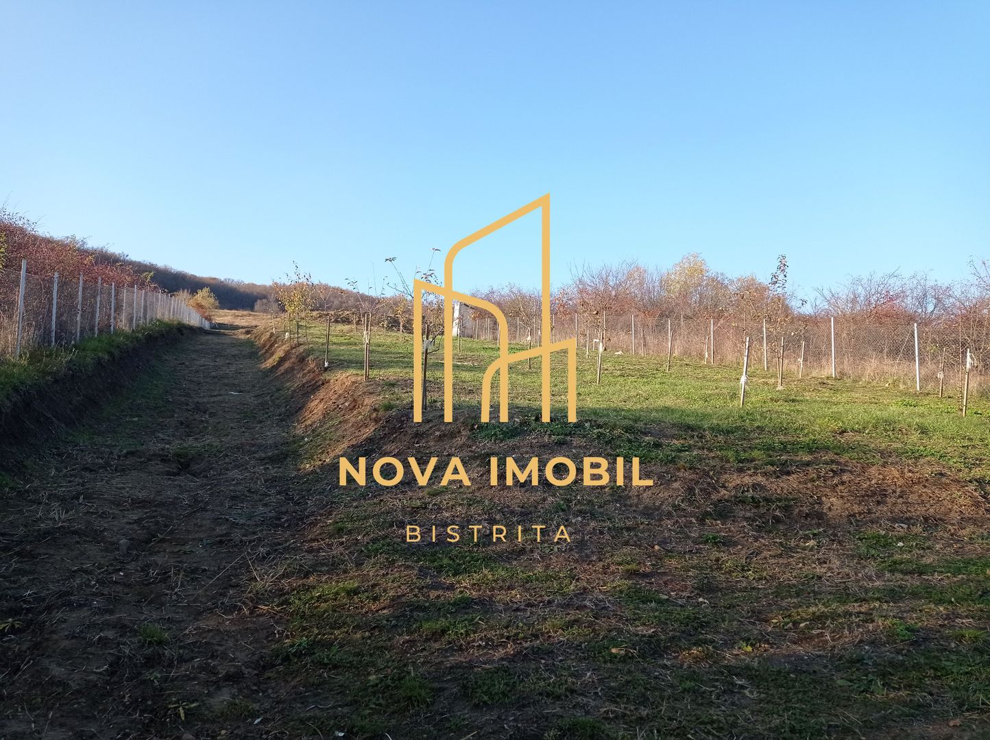 Teren Viisoara 27 ari - Poză 8