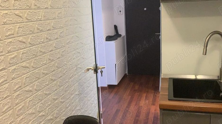 APARTAMENT LUMINOS RENOVAT LUX ZONA TINERETULUI - Poză 9