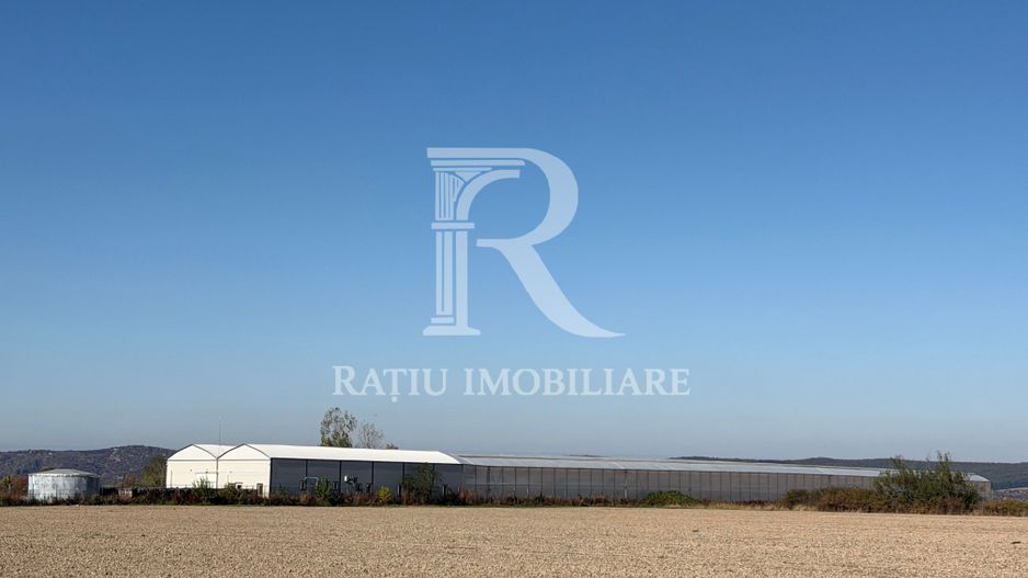 Complex agroindustrial de închiriat | Sere 3.300 mp - Poză 9