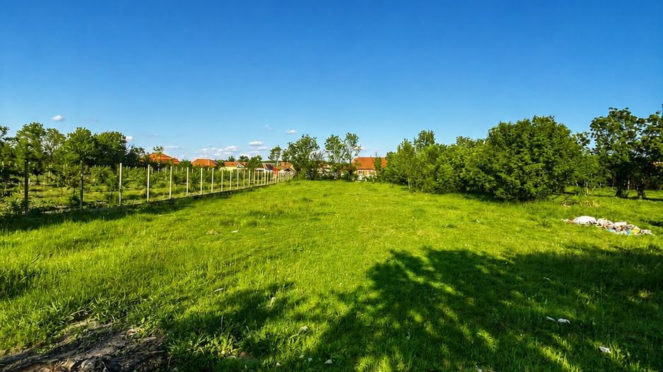Casa cu 3300mp de teren la 30 de KM de Oradea - Poză 3