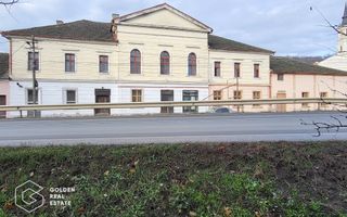 Proprietate tip conac, teren 4468 mp, oras Lipova - Poză 2