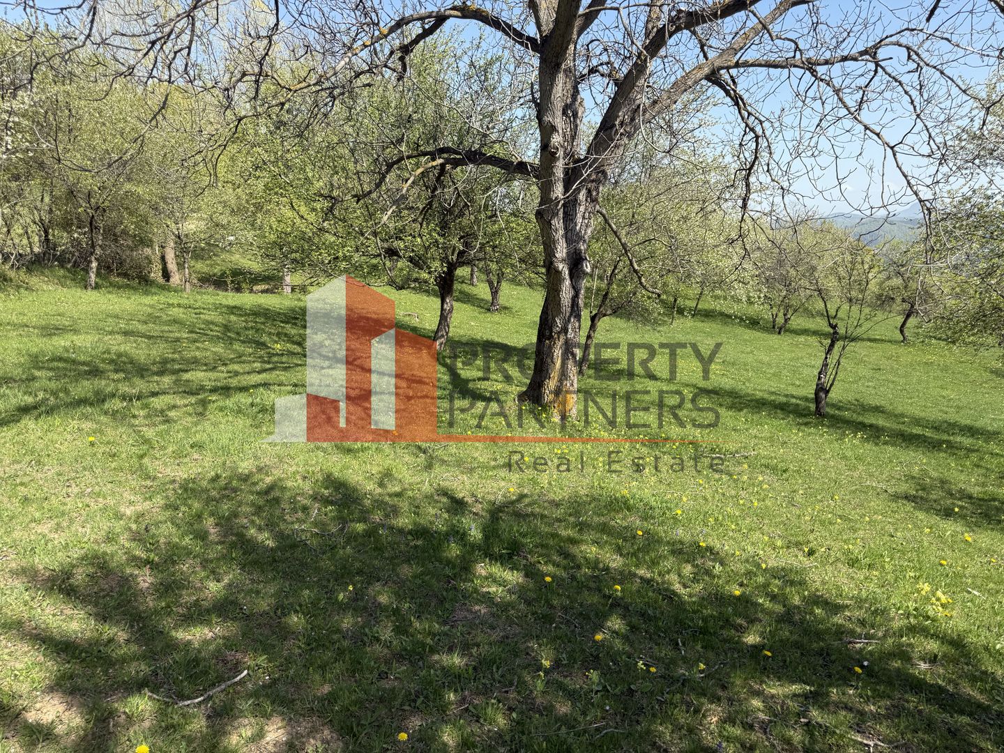 Terenuri Bran - Predelut  Priveliște către Bucegi și Postăvaru - Poză 7