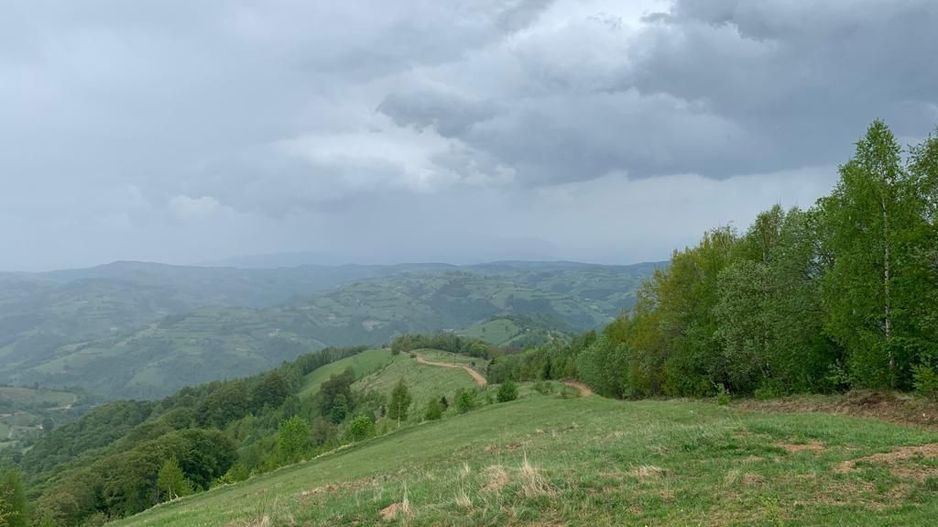 Teren extravilan 2ha, priveliste panoramica spre munti /Poiana Marului - Poză 8