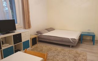 Garoniera - zona Primaverii - Poză 7