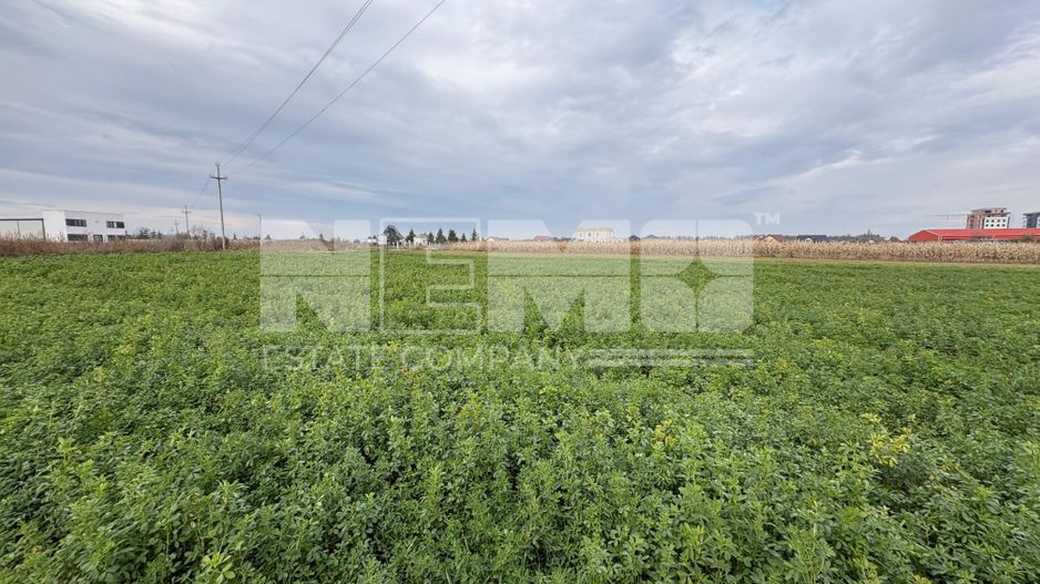 Teren de vânzare | 67 ari | Intravilan | Rădăuți - Poză 5