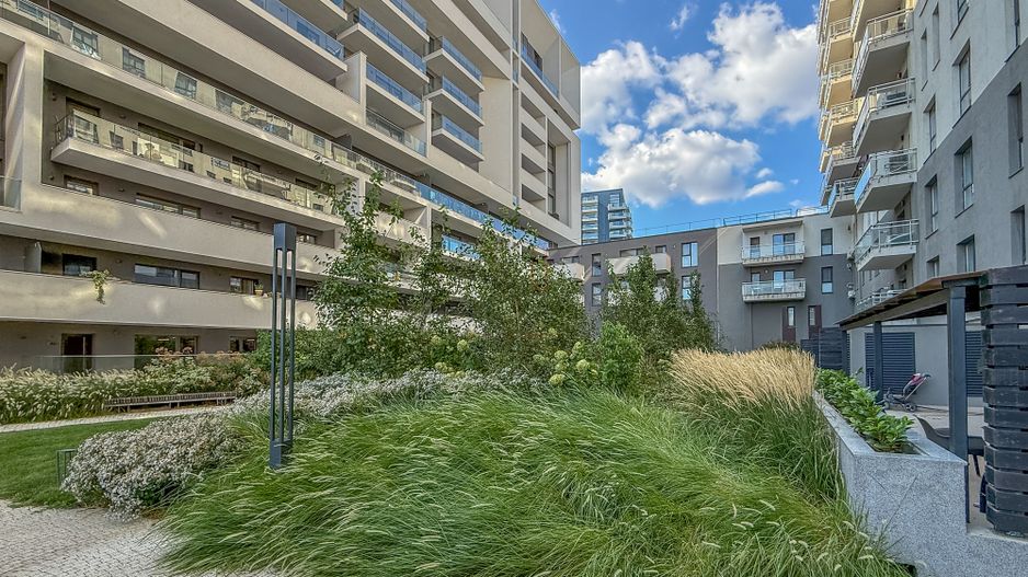 3 Camere Move in Ready | Belvedere | Metrou Pipera - Poză 18