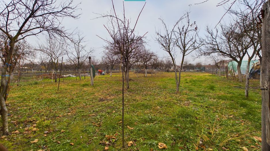 Casa cu 4 camere in Cicir - Poză 2