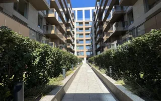 3 CAMERE || CORTINA 126 || EROUIANCU NICOLAE - Poză 11