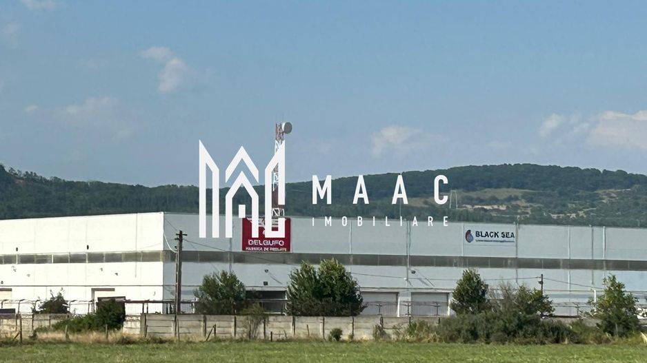 Teren 23.300 mp | 200 ml | Ideal dezvoltare rezidențială sau industrială - Poză 4