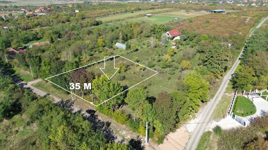 Teren Strada Livezilor Viile Satu Mare 1400MP - Poză 1