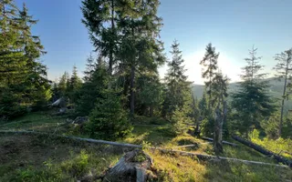 50 hectare teren | Moldova-Sulita | Potential turistic si agricol - Poză 13