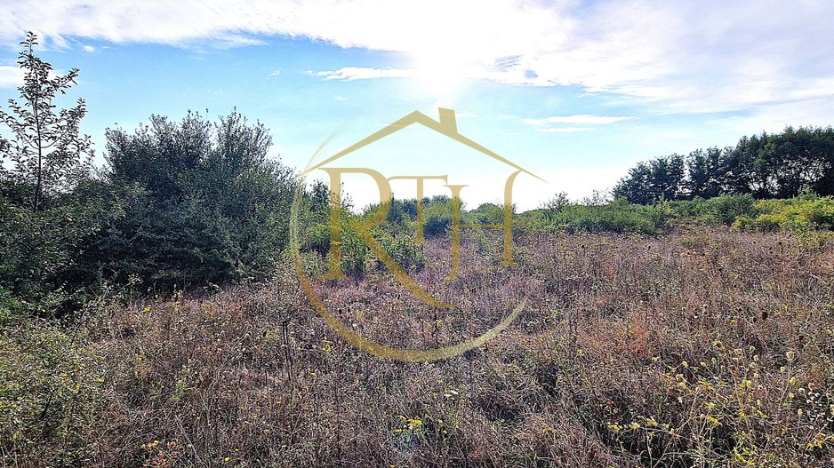 Teren de vânzare – 11.273 mp – zona Plopi, Timișoara Sud. - Poză 4