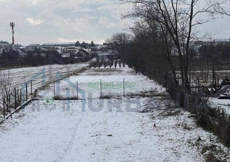 Casă la Roșu plus teren 2500 mp - Poză 4