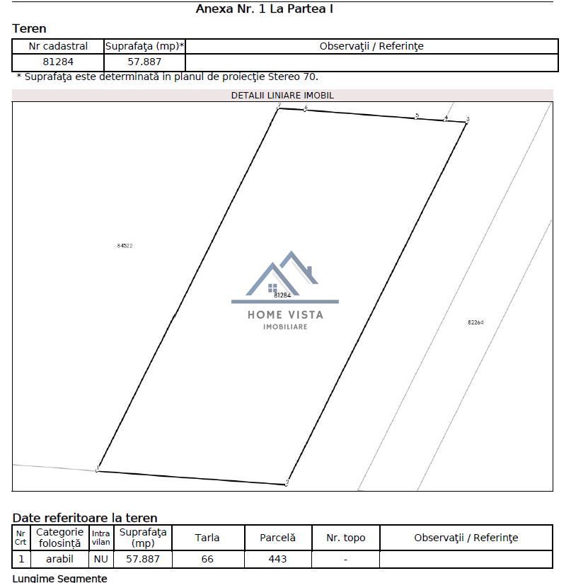Teren agricol extravilan – Rătești, Argeș – 57.887 mp - Poză 2