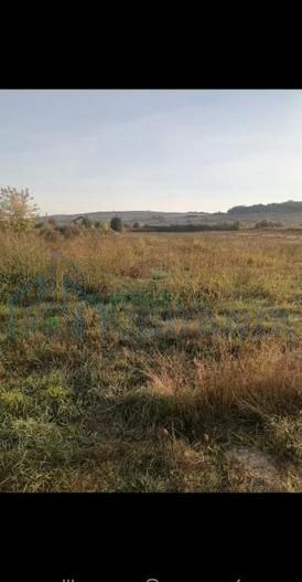 Teren intravilan 5000 m² de vânzare în Lunca Cetățuii, Ciurea - Poză 1