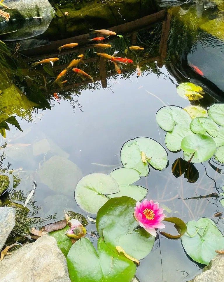 Vila vanzare| Balotesti| duplex P+1 deosebit |complet renovata in 2025 - Poză 10