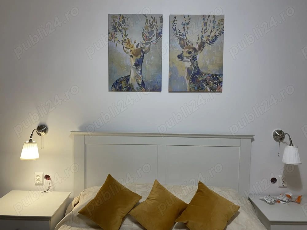 Vând aprtament 2 camere Lujerului - Poză 5