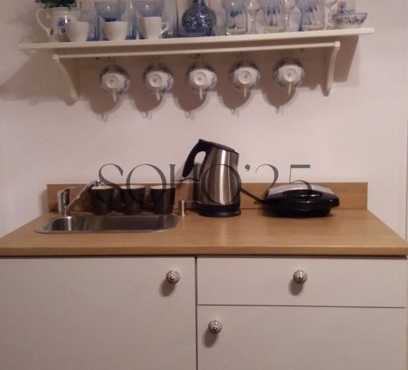 Apartament cochet Cismigiu - Poză 8