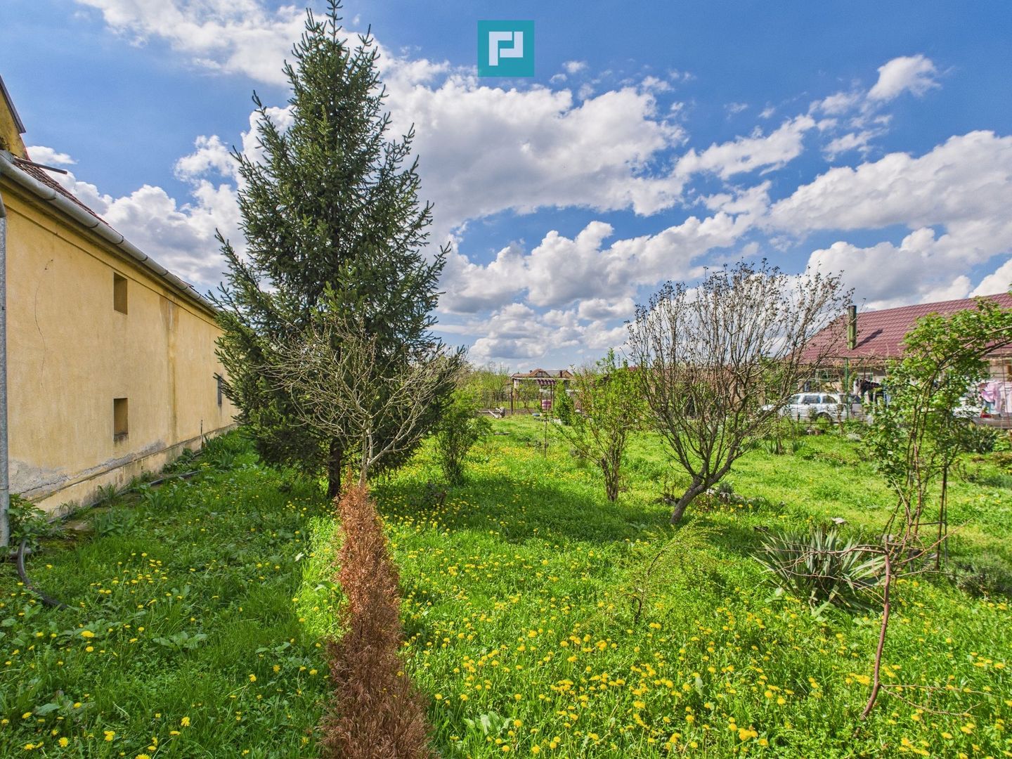 Teren 1300 mp, Beregsău Mare - Poză 5