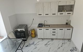 Casa Beregsaul mic+teren 1550 mp - Poză 5