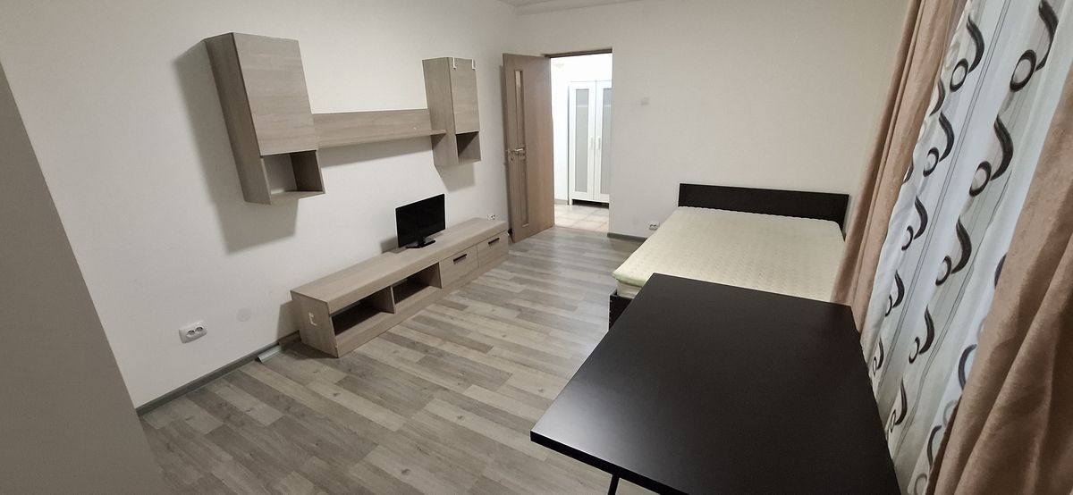 Garsoniera spatioasa Vitan, pet friendly, renovata, AC, mobilata complet - Poză 1