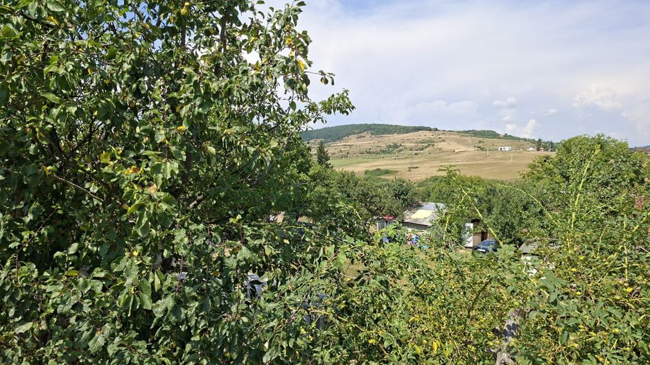 Teren de vanzare in Valcele - Poză 4