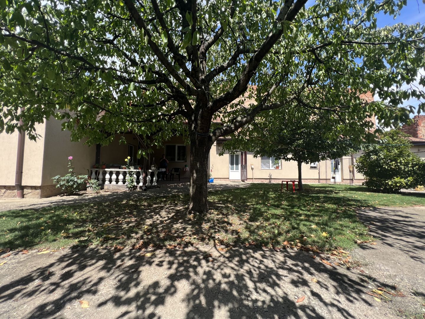 CASA CU TEREN GENEROS- 1.593 MP - Poză 3