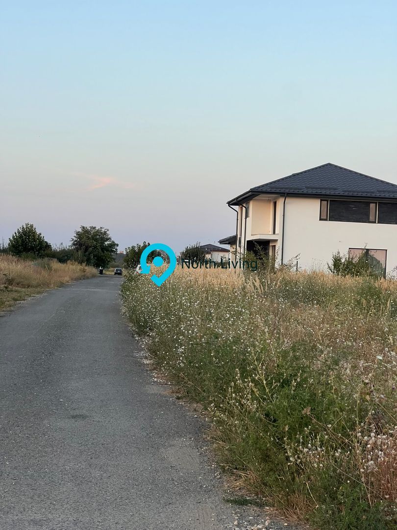 LOTURI DE TEREN IN TEGHES TOATE UTILITATILE 400 M , 23000 EURO-RATE - Poză 2