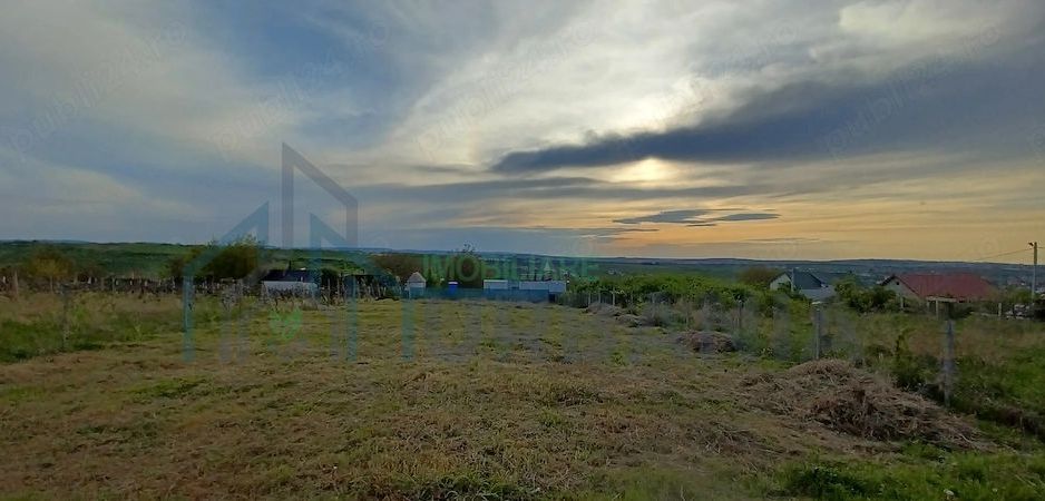 Teren intravilan 1000 mp în Bucium-Vișani, Str. Dealul Crăițelor – zonă rezidențială în dezvoltare - Poză 3