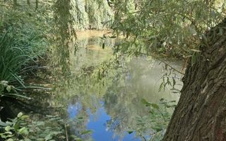 Domeniu de 7.500 mp cu casă bătrânească, anexe, livadă și iaz în Stolniceni-Prăjescu, Iași - Poză 7