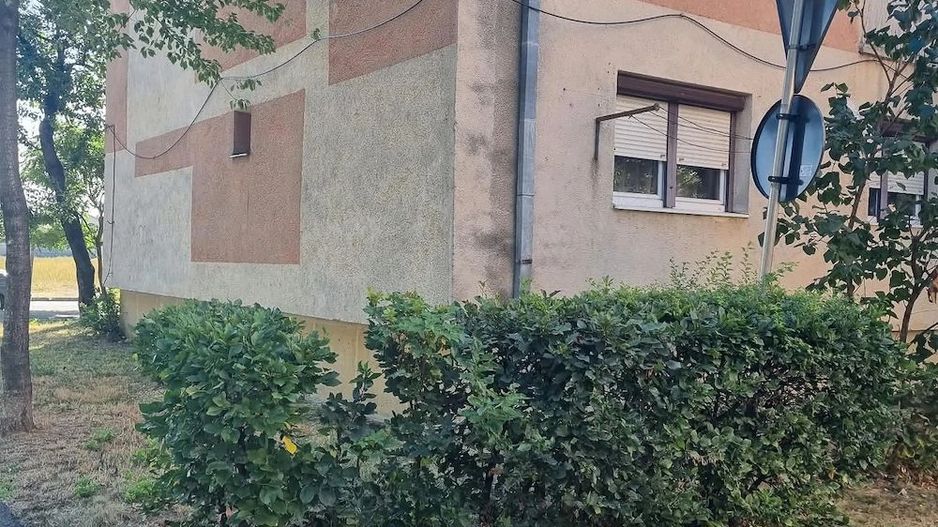 BRASADA   camerap 3 cam 78 mp. 2 băi in Carpați 2 - Poză 10