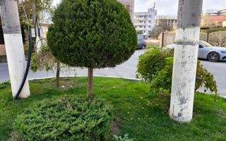 MAMAIA NORD -  (COD01) Apartament confortabil „la cheie”! - Poză 17