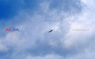 AZURA Imobiliare Pitesti - Casă de vacanță, Nucșoara! - Poză 90